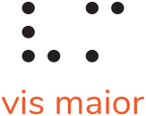 Logotyp Fundacji Vis Maior