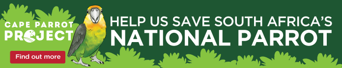 https://www.wildbirdtrust.com/projects/cape-parrot-project