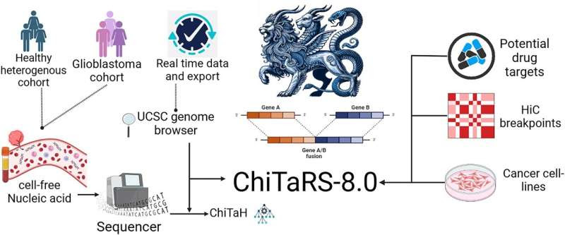 New Reichman University study: Advances in cancer treatment and research: ChiTaRS 8.0 database of chimeric genes launched to facilitate the precise adaptation of treatments to specific cancer types