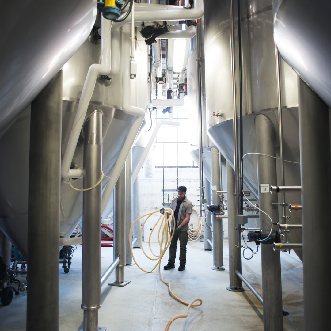 Wide shot of GLBC brewery employee winding up a hose amid many large fermentation vessels.