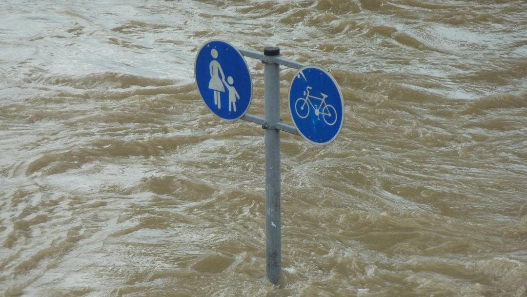 emergencia climática