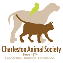 Charleston Animal Society