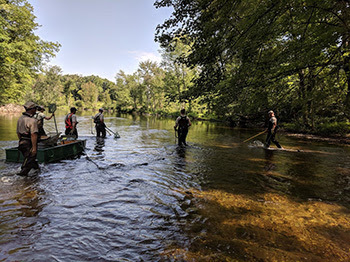 A Michigan DNR team surveying the River Raisin in southeast Michigan.