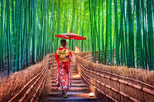 Japan, Kyoto, woman in bamboo forest