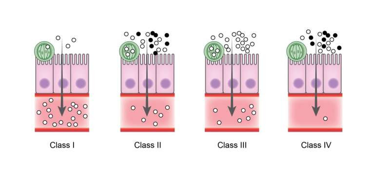 Novel compound reduces Cryptosporidium parasite load by 99.8%