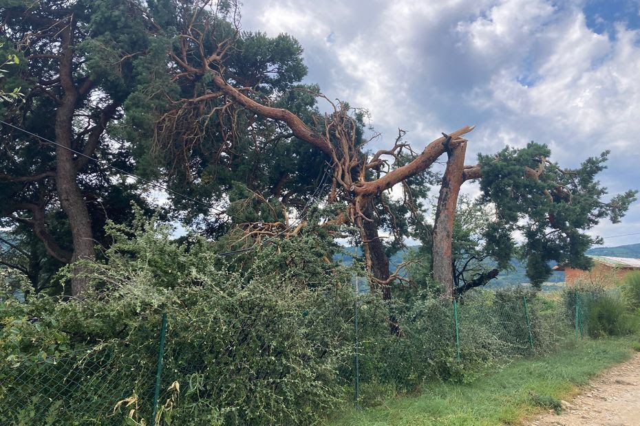 Orages, intempéries et dégâts en Ardèche : arbres brisés, routes coupées et jusqu'à 2000 foyers privés d'électricité