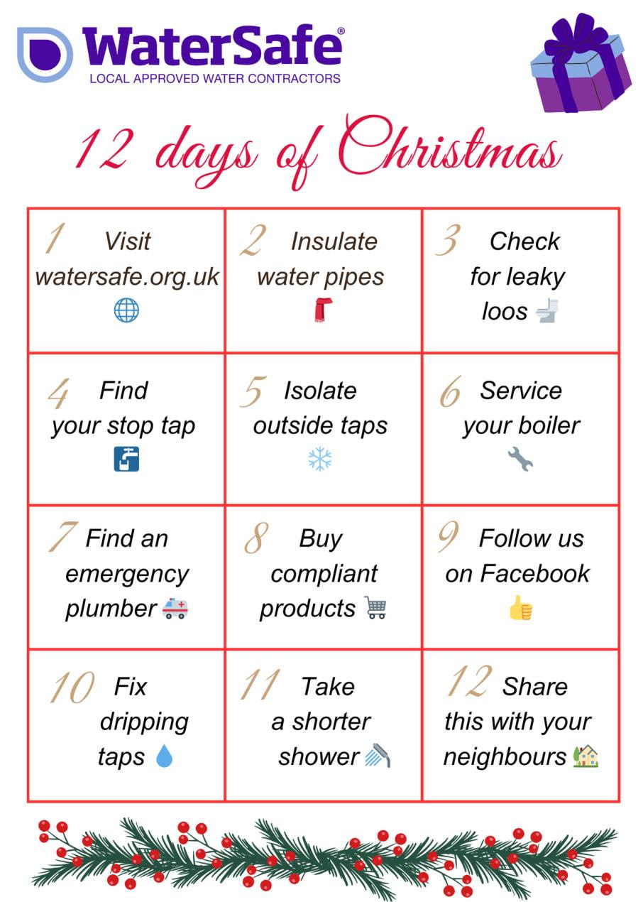 12 days of Christmas tips