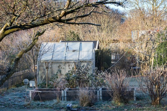 Winter Greenhouse