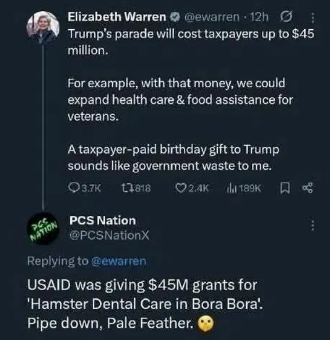 Mean tweet aumed at Liz Warren.