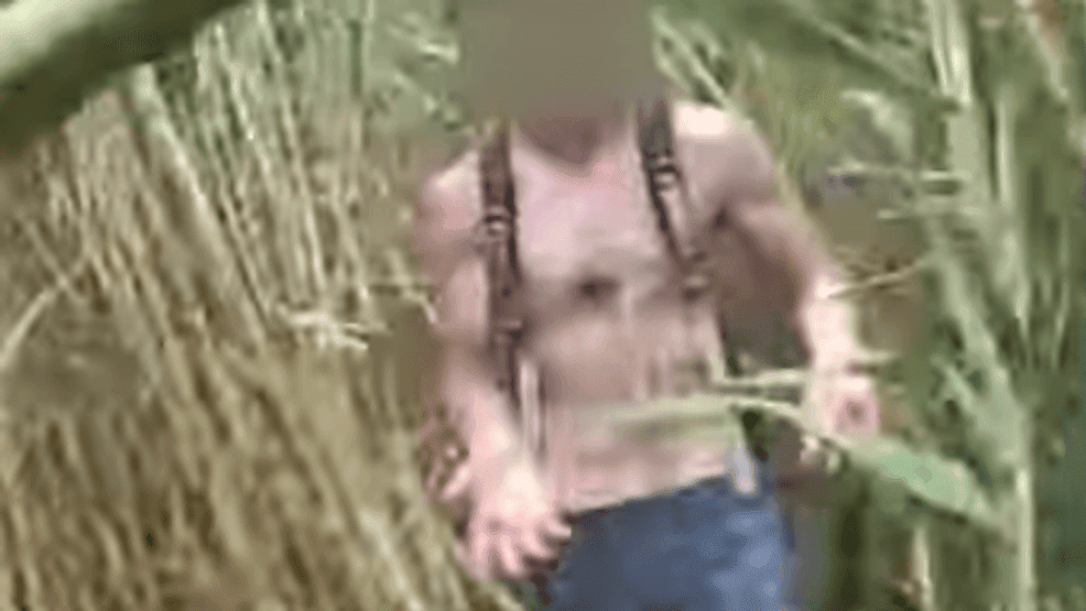 Somerset police rescue missing man from swamp