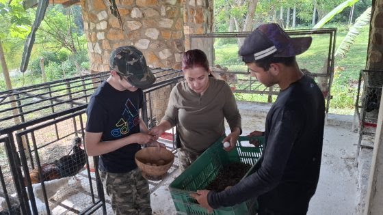 Finca en Bolívar sirve como aula universitaria por sus avances en genética avícola