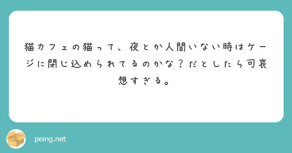 猫カフェの猫って、夜とか人間いない時はケージに閉じ込められてるのかな？だとしたら可哀想すぎる。