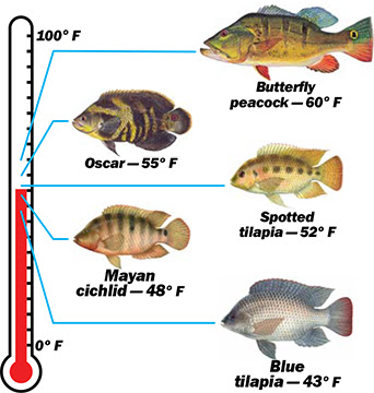 Nonnative fishes lower lethal temperatures chart