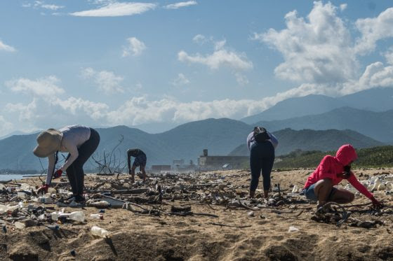 700 voluntarios limpiaron cinco playas en Puerto Cabello en un esfuerzo público y privado