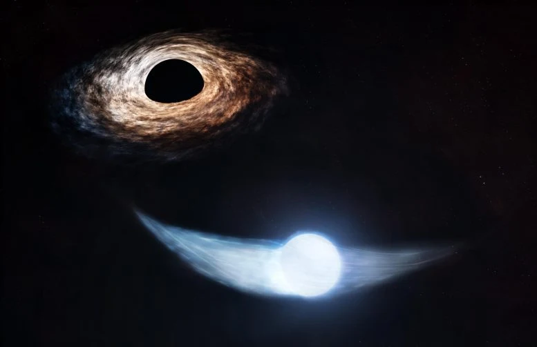 Star Shedding Stellar Debris As It Orbits a Supermassive Black Hole