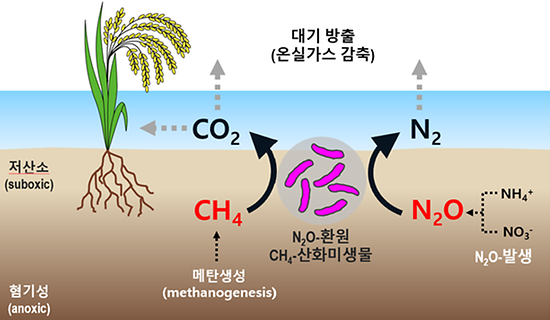 중앙기전 이미지