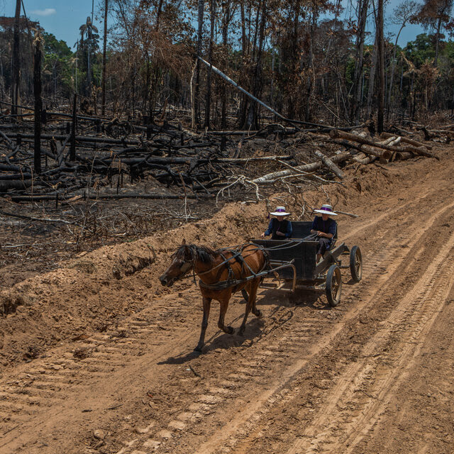 Two people ride in a horse and buggy on a dirt road. 