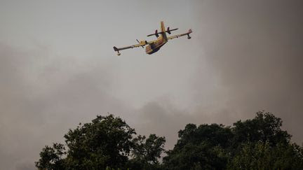 Fumées des incendies portugais en France : C'est 'un événement classique de pollution atmosphérique', explique un spécialiste de la physique des feux