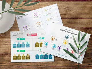 Org-Charts-Daniel-Brady-Unsplash_2025_07