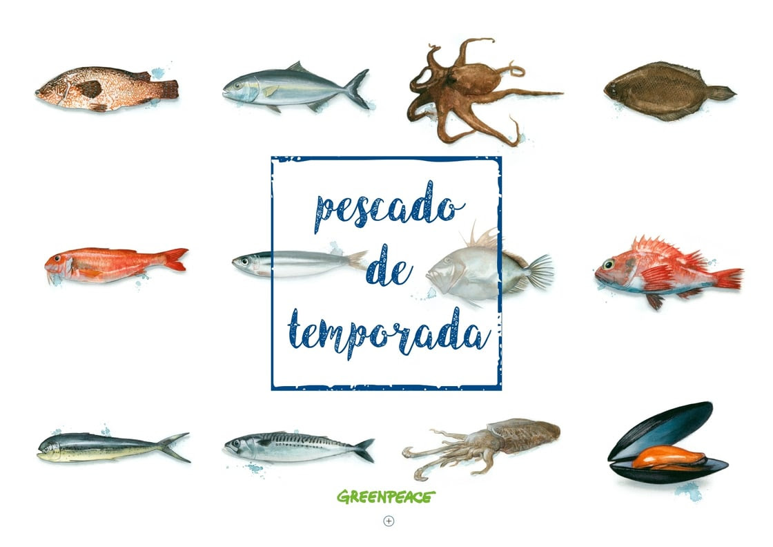 pescado_de_temporada_2024