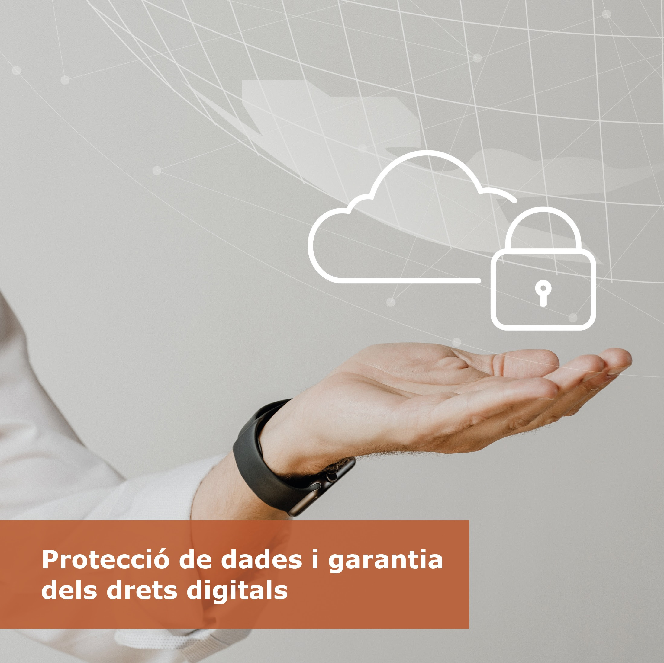Curs: 'Protecció de dades i garantia dels drets digitals'