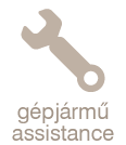 Assistance biztosítás