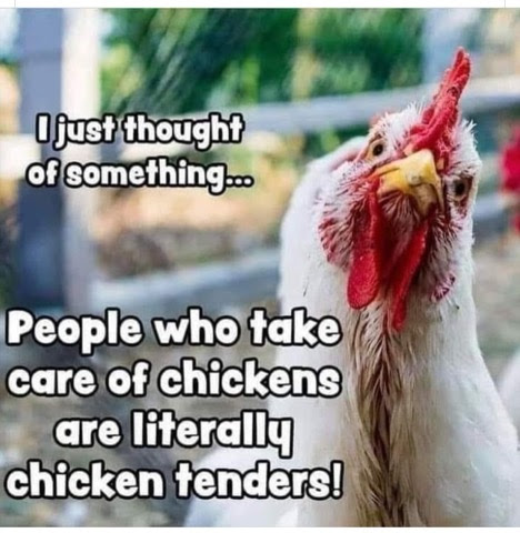 Joke-Chicken-Tenders