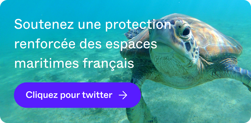 Soutenez une protection renforcée des eaux territoriales françaises
