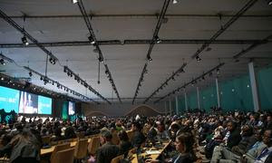 Panorámica de la sala plenaria de la Conferencia de las Naciones Unidas sobre el Cambio Climático, COP29, en Bakú (Azerbaiyán).