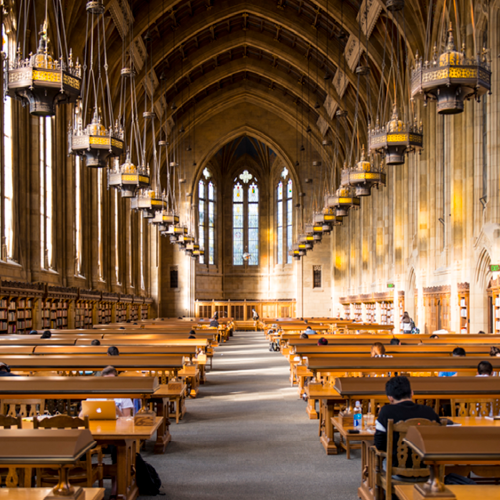 Students work at the Suzzallo Library on the UW Seattle campus