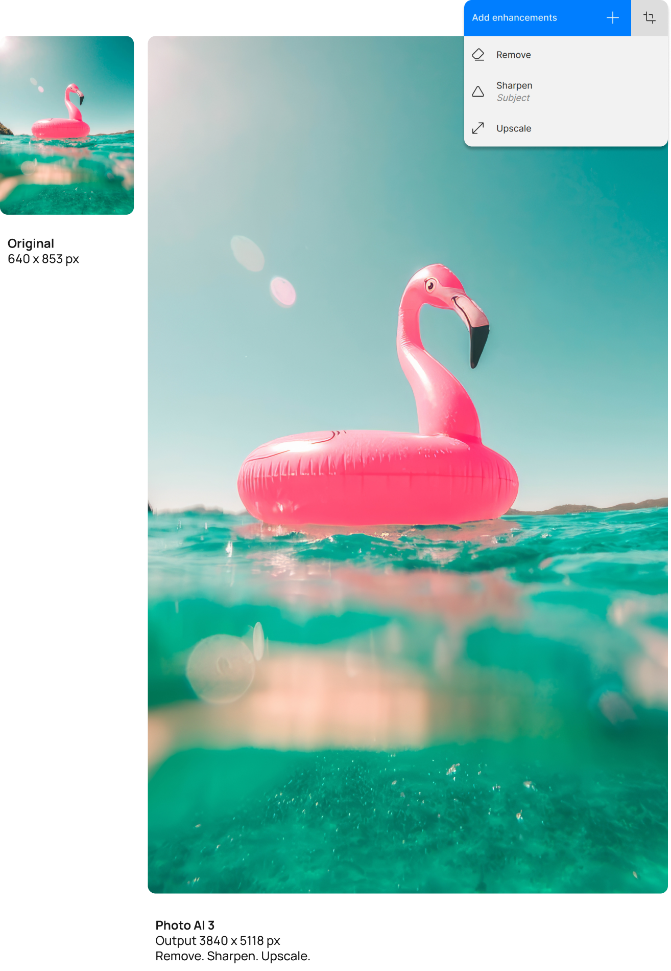 Topaz Photo AI Remove Object, Sharpen, Upscale