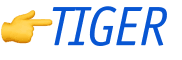 👉TIGER