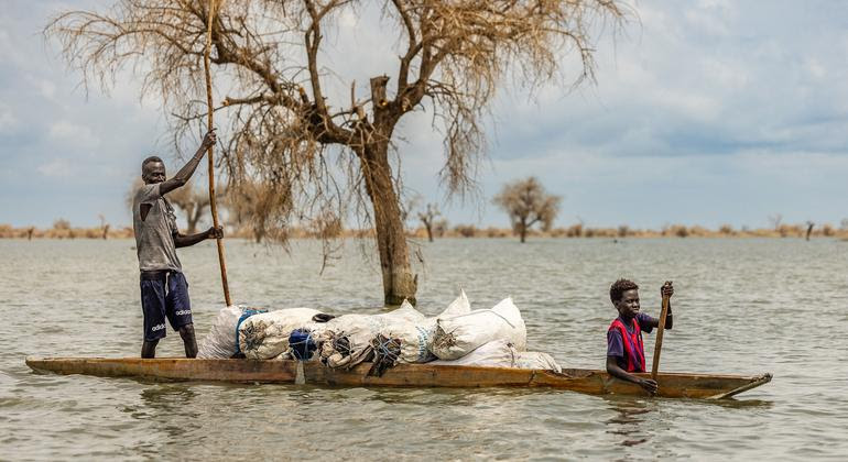 [UN News photo]