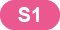 S1