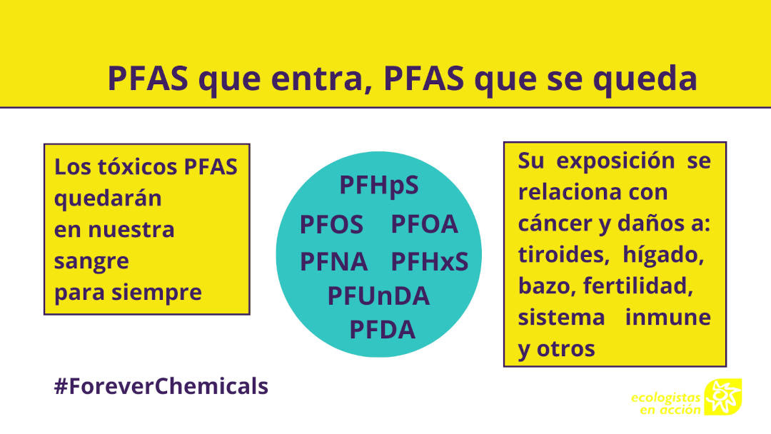 Todos los políticos españoles y europeos analizados están contaminados con los llamados 'tóxicos eternos'