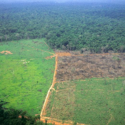 Amazon Brazil Aerial view of partly deforested land showing established grassland newly burned land and rainforest PUBLICATIONxINxGERxSUIxAUTxONLY Copyright: xSuexCunningham/SCP 1017102.tif