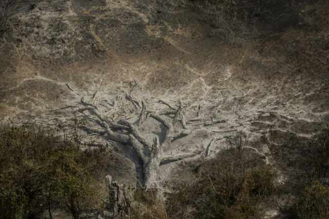 Imagem aérea mostra desmatamento e vestígios de queimada em floresta