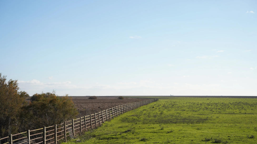 Grupos ecologistas instan a los partidos políticos a apoyar la votación en el Parlamento Europeo para ratificar el acuerdo sobre el Reglamento de Restauración de la Naturaleza