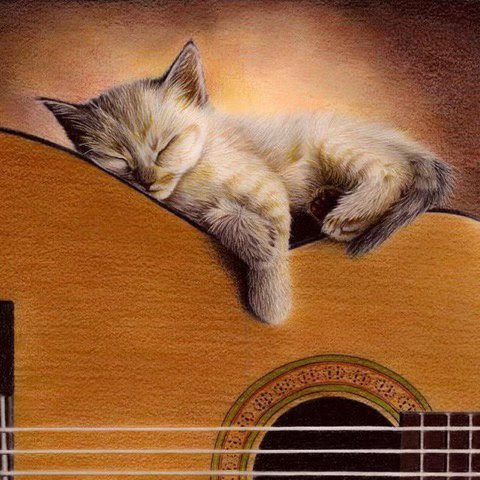 Cat-Guitar-Rest
