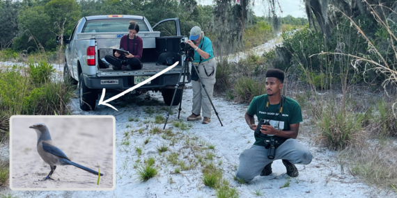 Three Jay Watch volunteers in the scrub with their field vehicle, using binoculars, a camera and a notebook as they look for jays.