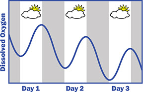 Daily oxygen cycle with cloudy weather