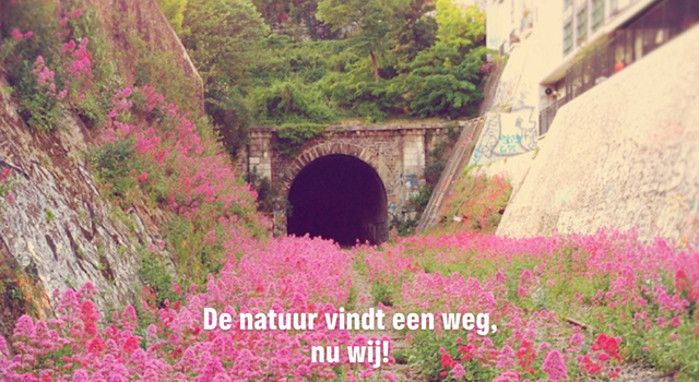 Fotoserie hoe natuur weg vindt