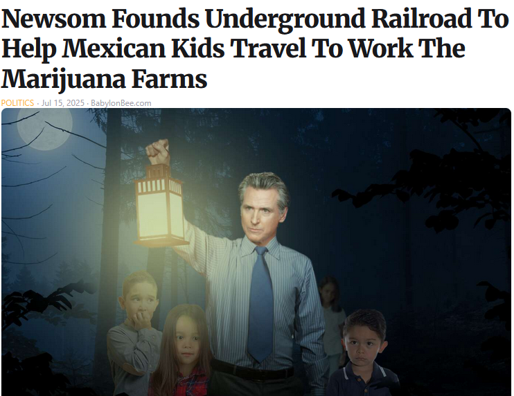 Gavin Newsom.