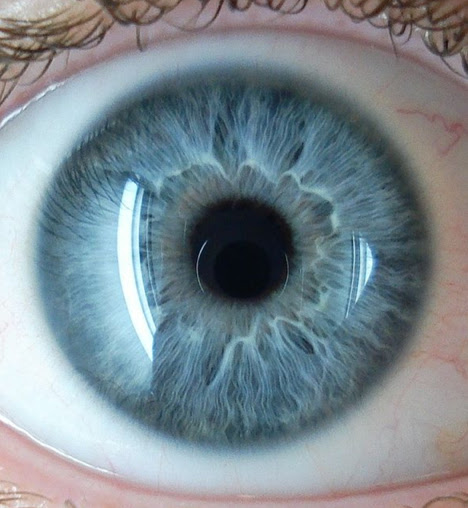 blue human eye