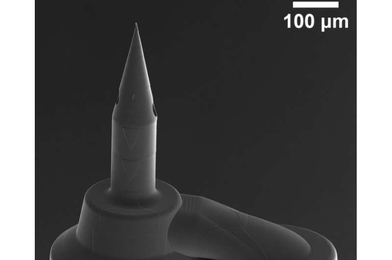 Researchers discuss the design of microneedles for medical treatments