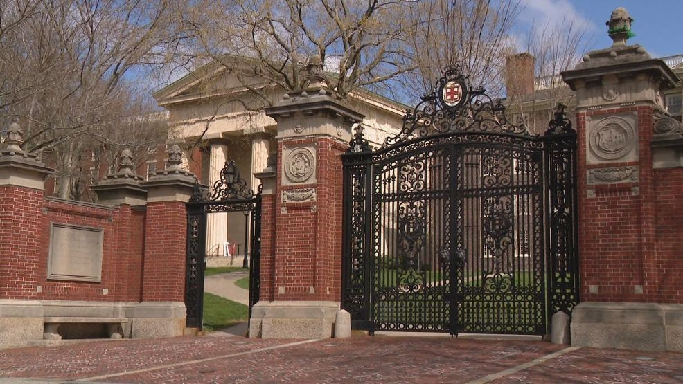 Brown University researchers develop force prompting, allowing users to mobilize photos