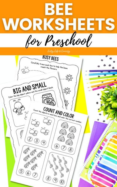 Free Bee Worksheets Homeschool Curriculum
