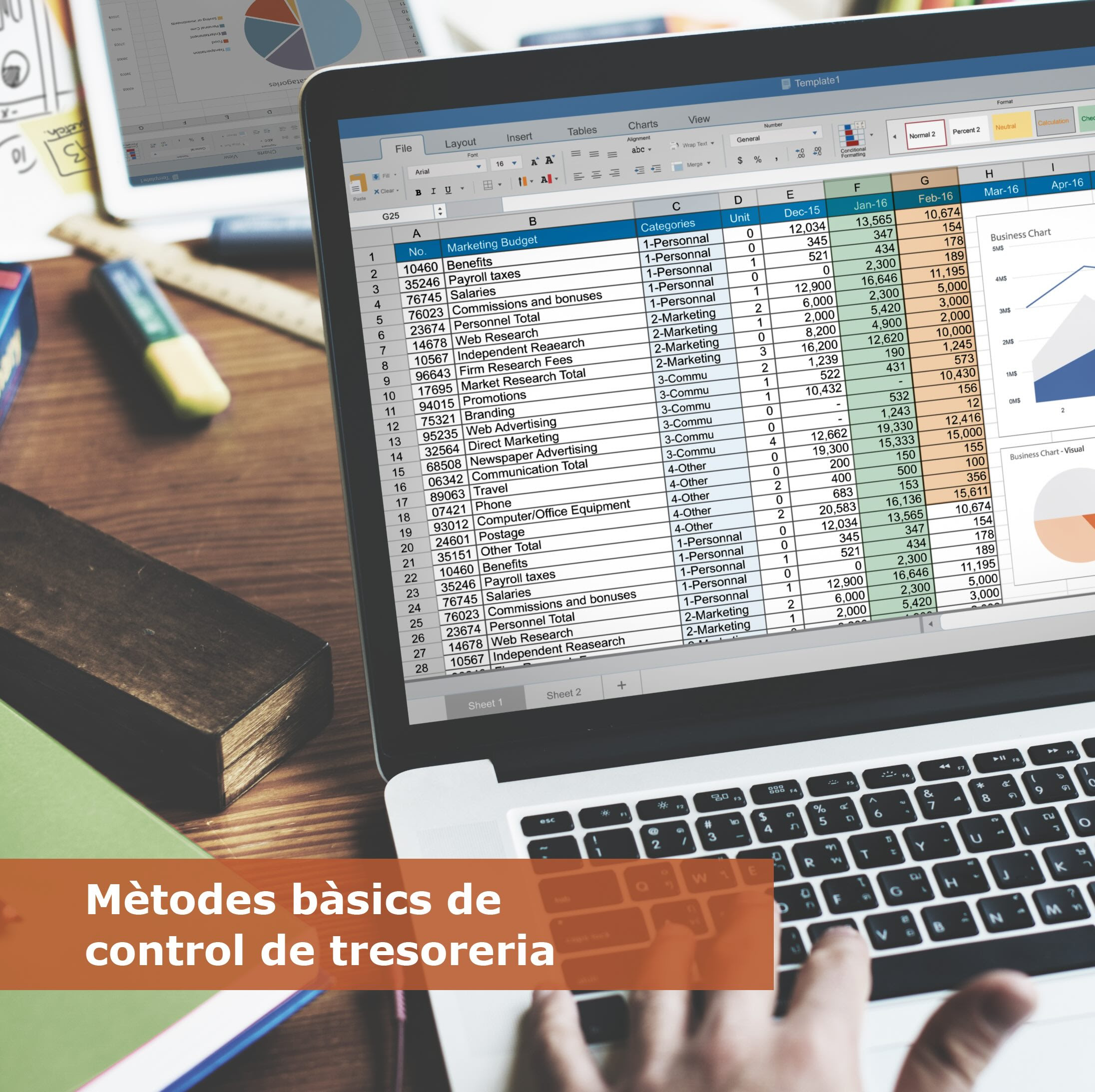 Mètodes bàsics de control de tresoreria