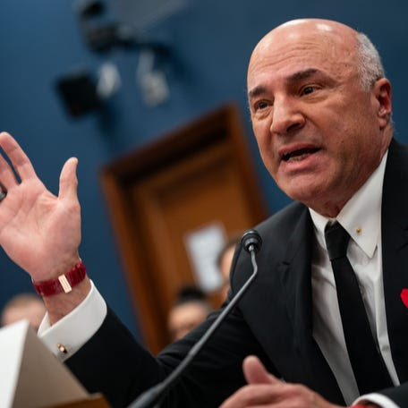 Kevin O'Leary, chairman of O'Leary Ventures, testifies before the House Committee on Small Business during a hearing, "Unleashing Main Street's Potential: Examining Avenues to Capital Access" at the Rayburn House Office Building on Jan. 18, 2024 in Washington, DC.