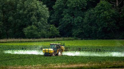 Néonicotinoïdes interdits, herbicides : des substances préoccupantes retrouvées dans les cheveux et les urines d'enfants près de La Rochelle